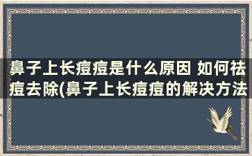 鼻子上长痘痘是什么原因 如何祛痘去除(鼻子上长痘痘的解决方法)